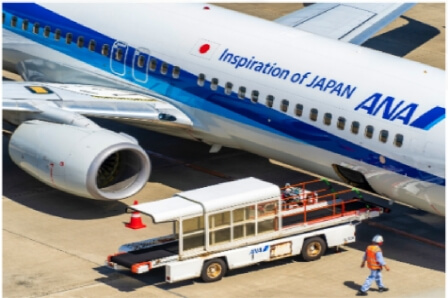 飛行機
